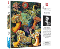 Merch Imagination: Ernst Haeckel: Sea Anemones/Stworzenia morskie - 1178565 - zdjęcie 2